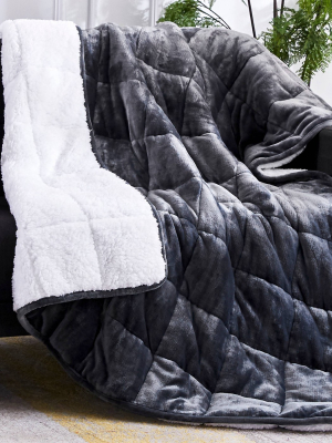 Kids' Printed Velvet To Sherpa Reverse Weighted Throw Blanket - Dream Theory