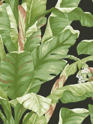 Banana Leaf Peel & Stick Wallpaper In Green And Black By York Wallcoverings