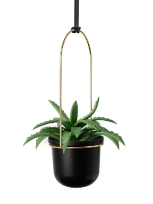 Umbra Triflora Hanging Planter - Kedenza