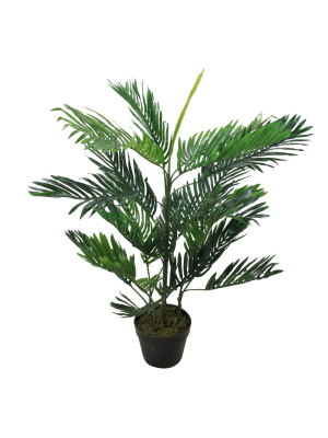 Northlight 3.3' Unlit Artificial Potted Two Tone Tropical Mini Palm Tree