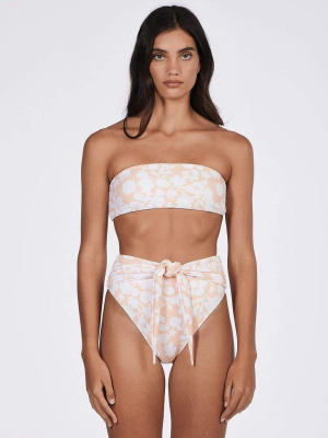 Effie Wrap Brief