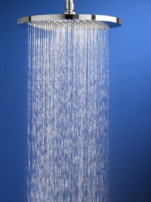 American Standard 1660.683 Modern Single Function Shower Head