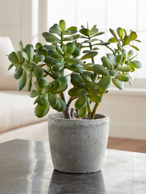 Potted Artificial Jade Plant