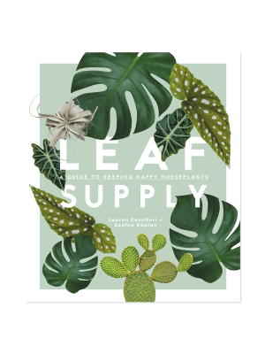 Leaf Supply: A Guide To Keeping Happy House Plants