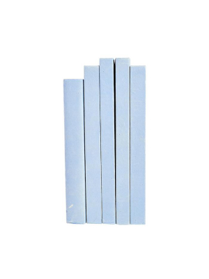 Large Decorative Book In French Blue
