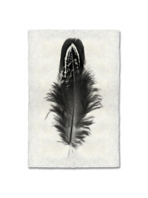 Feather #3 Print