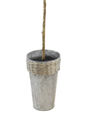 68" X 18" Artificial Fig In Galvanized Pot - Lcg Florals