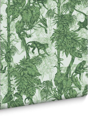 Ubud Wallpaper In Palm From The Exclusives Collection By Graham & Brown