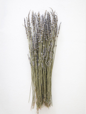 Dried Lavender Wildflowers - 15-22"