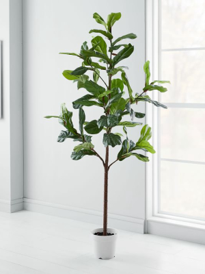 Faux Potted Fiddle Leaf Fig Tree - 7'