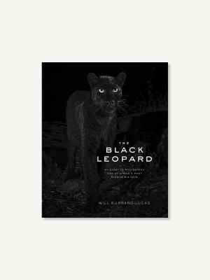 The Black Leopard