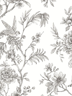 Jessamine Floral Trail Wallpaper In Grey From The Moonlight Collection By Brewster Home Fashions