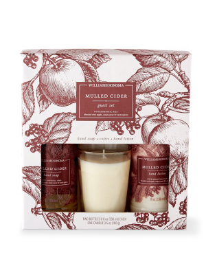 Williams Sonoma Mulled Cider Guest Essentials Set