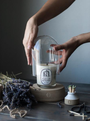 Cultivate & Garden Candle