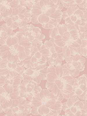 Flora Wallpaper In Blush From The Wallpaper Republic Collection By Milton & King