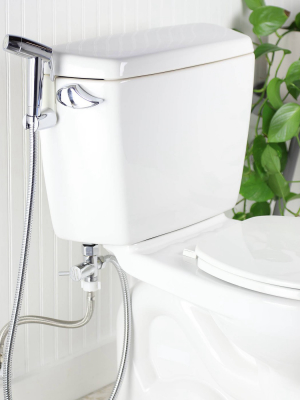 Cleanspa Easy Hand Held Bidet Silver - Brondell