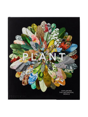 Plant: Exploring The Botanical World