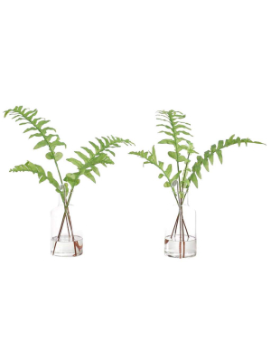 Fern In Glass Bottle, Set Of 2