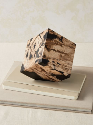 Petrified Wood Cube