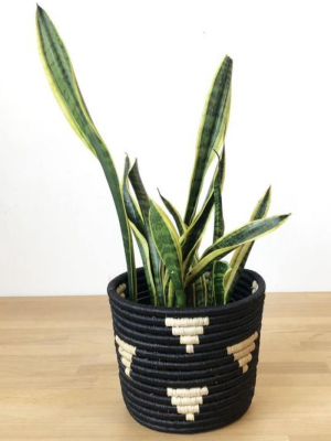 Amsha Mwamira Basket Planter