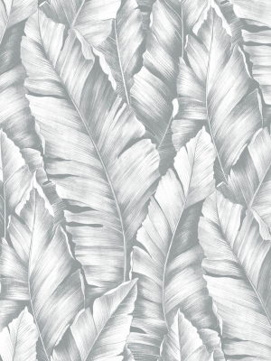 Baha Banana Leaves Peel-and-stick Wallpaper In Daydream Grey By Nextwall