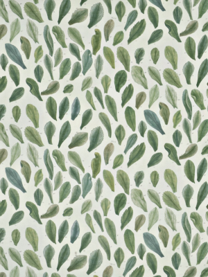 Leaf Speciment Thyme Fabric