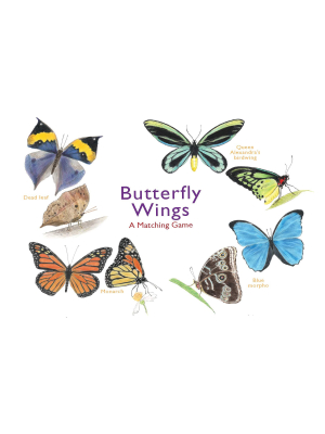 Butterfly Wings Matching Game