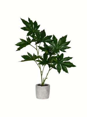 Vickerman 17" Green Potted Papaya.