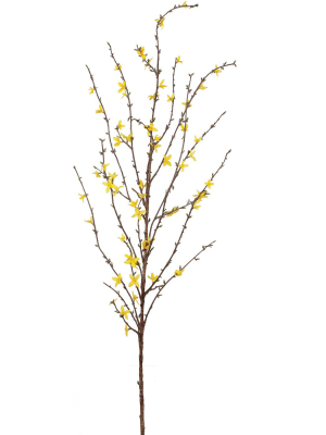 Sullivans Artificial Forsythia Stem 4'8"h Yellow Flowers