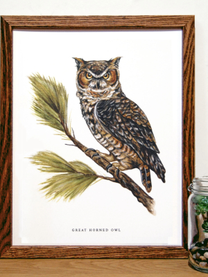 Great Horned Owl Print - 11x17