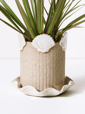 Gabrielle Silverlight Shell Crown Pot