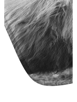 Chelsea Victoria The Highland Cow Memory Foam Bath Mat Black/white - Deny Designs