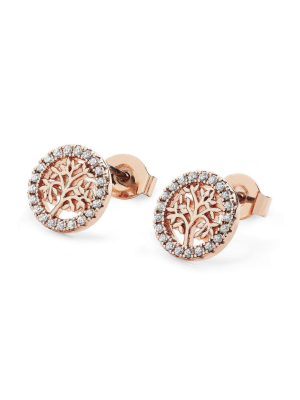 Rose Gold Tree And Cz Circle Stud Earrings