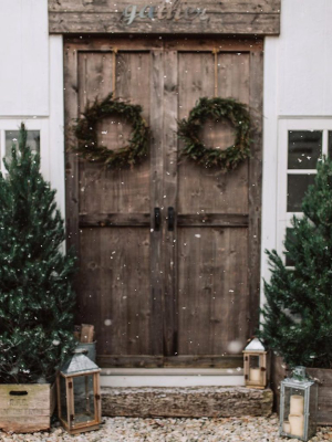 Snow Place Like Home