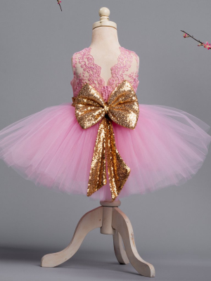 Princess Aisha Dress (pink & Gold)