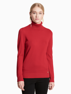 Solid Ribbed Turtleneck Sweater