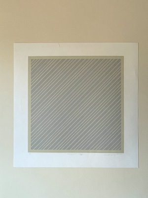 Diagonals Silk Screen - Grey