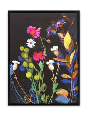 Katie Todaro, Wildflower Collection 2