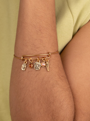 Harry Potter™ Hagrid Multi-charm Bangle