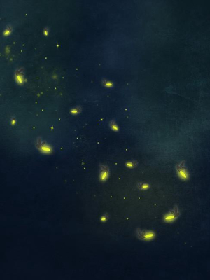 Firefly