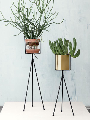 Plant Stand