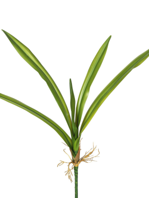 Vickerman 27" Real Touch Green Yucca Leaves.