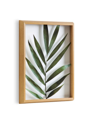 16" X 20" Blake Botanical 5f Framed Printed Glass By Amy Peterson Natural - Kate And Laurel