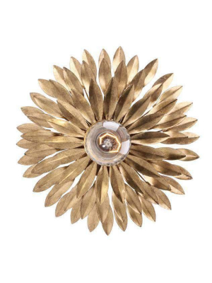 Broche 1 Light Sconce