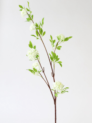 Cream Fake Viburnum Wildflower Branch - 46"