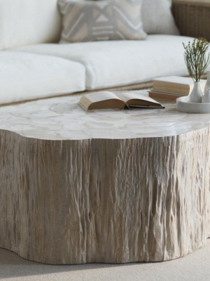 Camilla Fossilized Clam Coffee Table