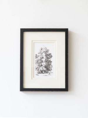 Vintage Tree 3