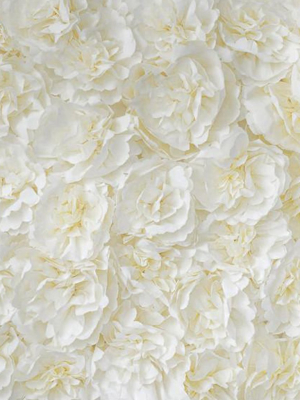 Buttercream