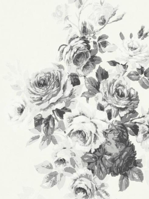 Tea Rose Wallpaper In White And Black From Magnolia Home Vol. 2 By Joanna Gaines