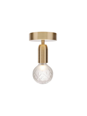 Crystal Bulb Ceiling Light